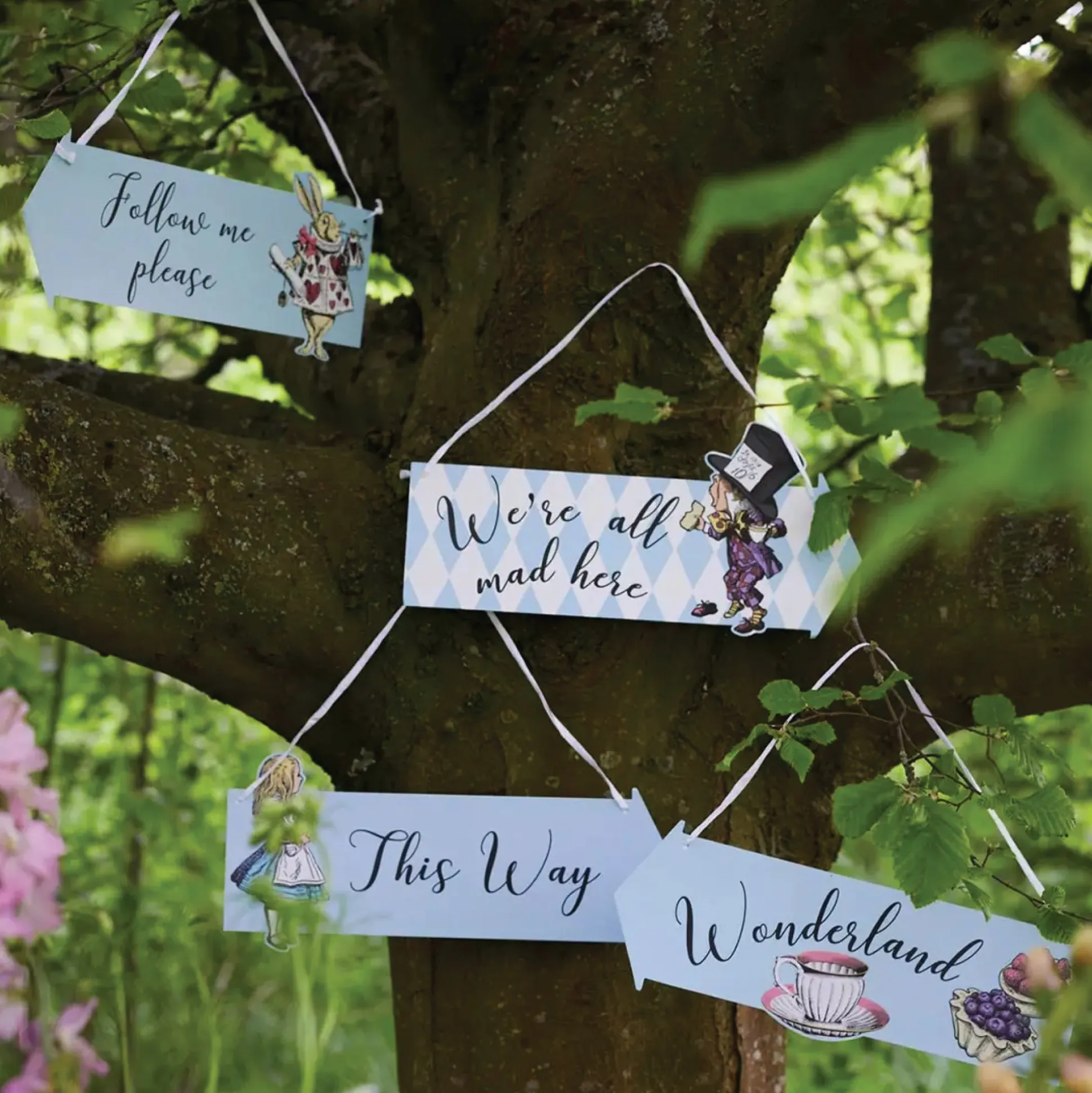 Alice in Wonderland Party Sign Decorations 12ct