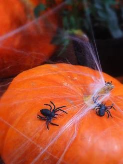 Black Plastic Spiders 10ct