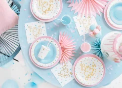 Boy or Girl Gender Reveal Lunch Plates 6ct