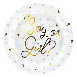 Boy or Girl Gender Reveal Lunch Plates 6ct