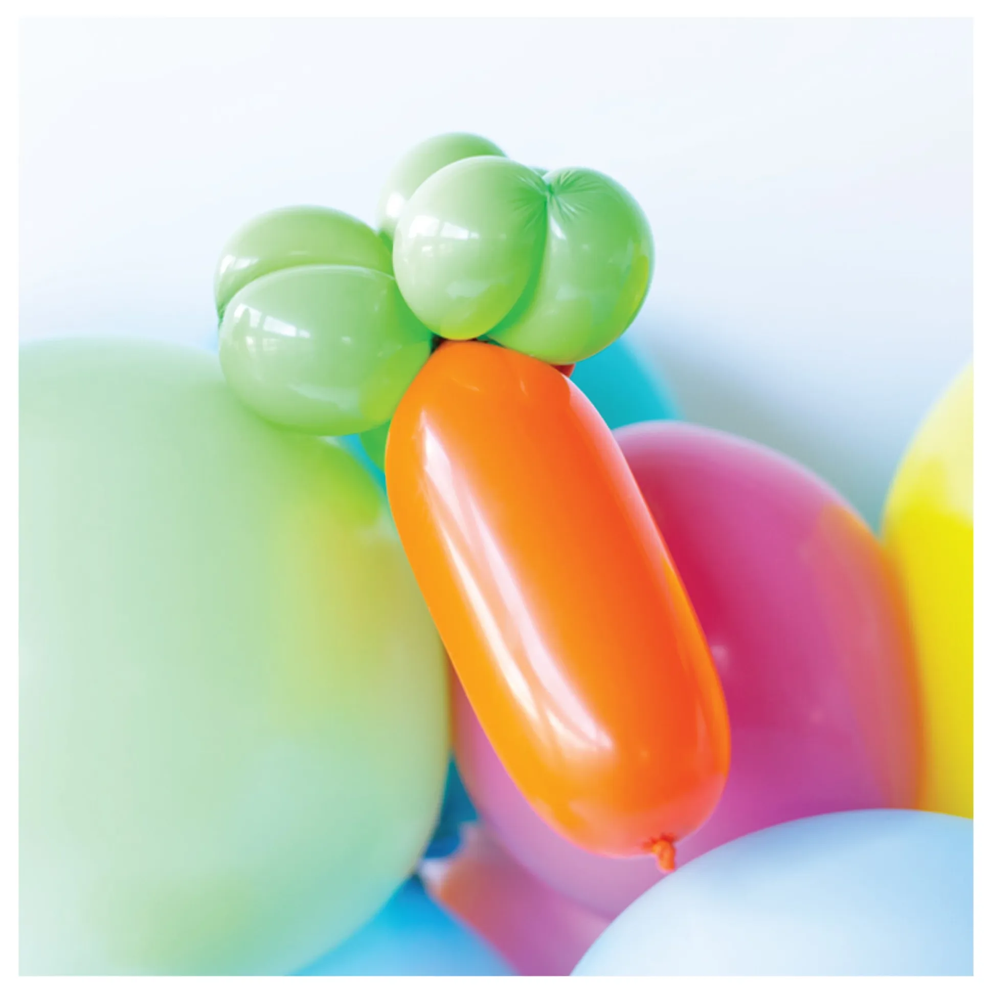 Carrot Mini Balloon Kit