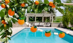 Citrus Orange Felt Banner 6ft