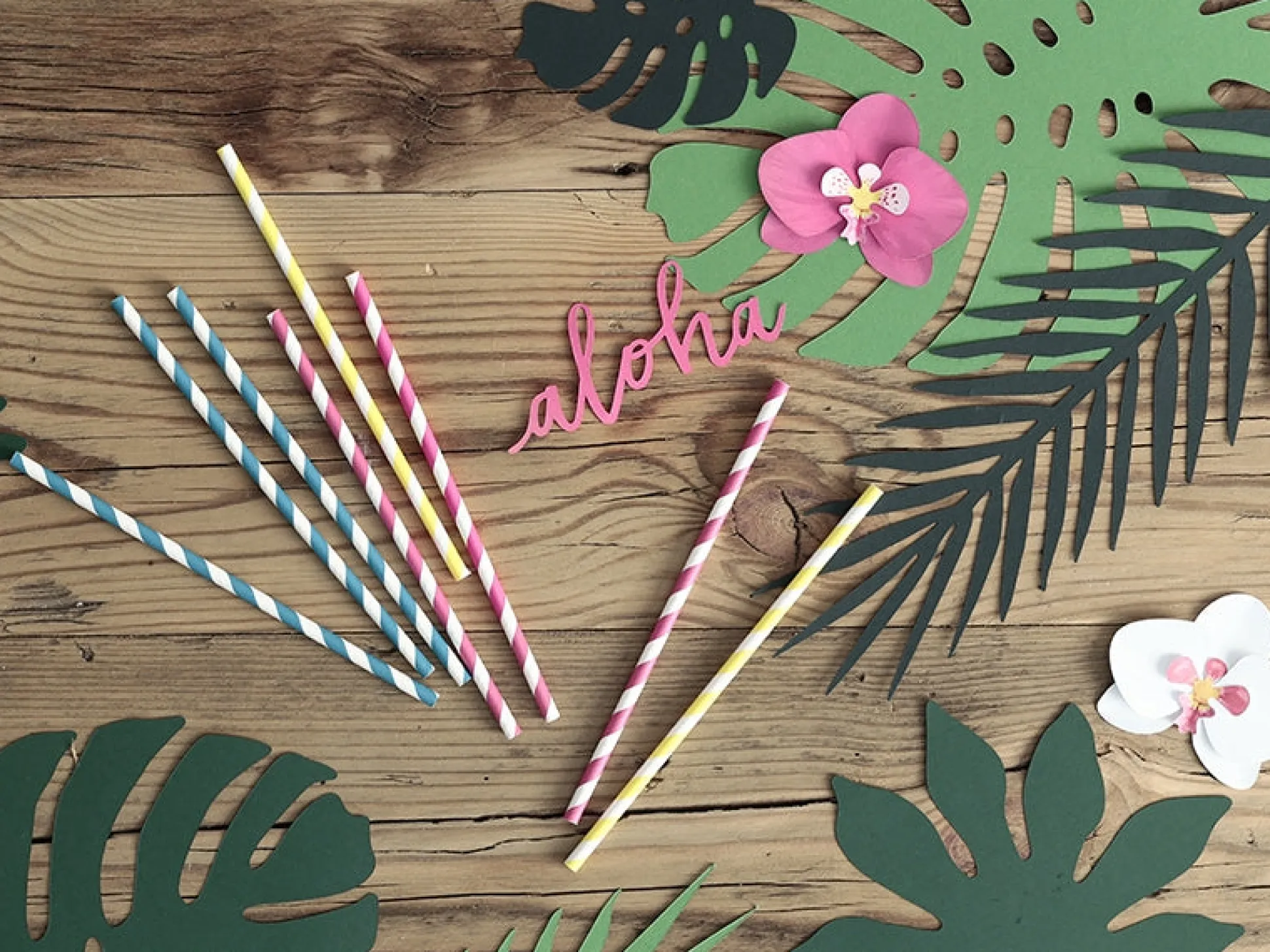 Dark Pink Striped Paper Straws