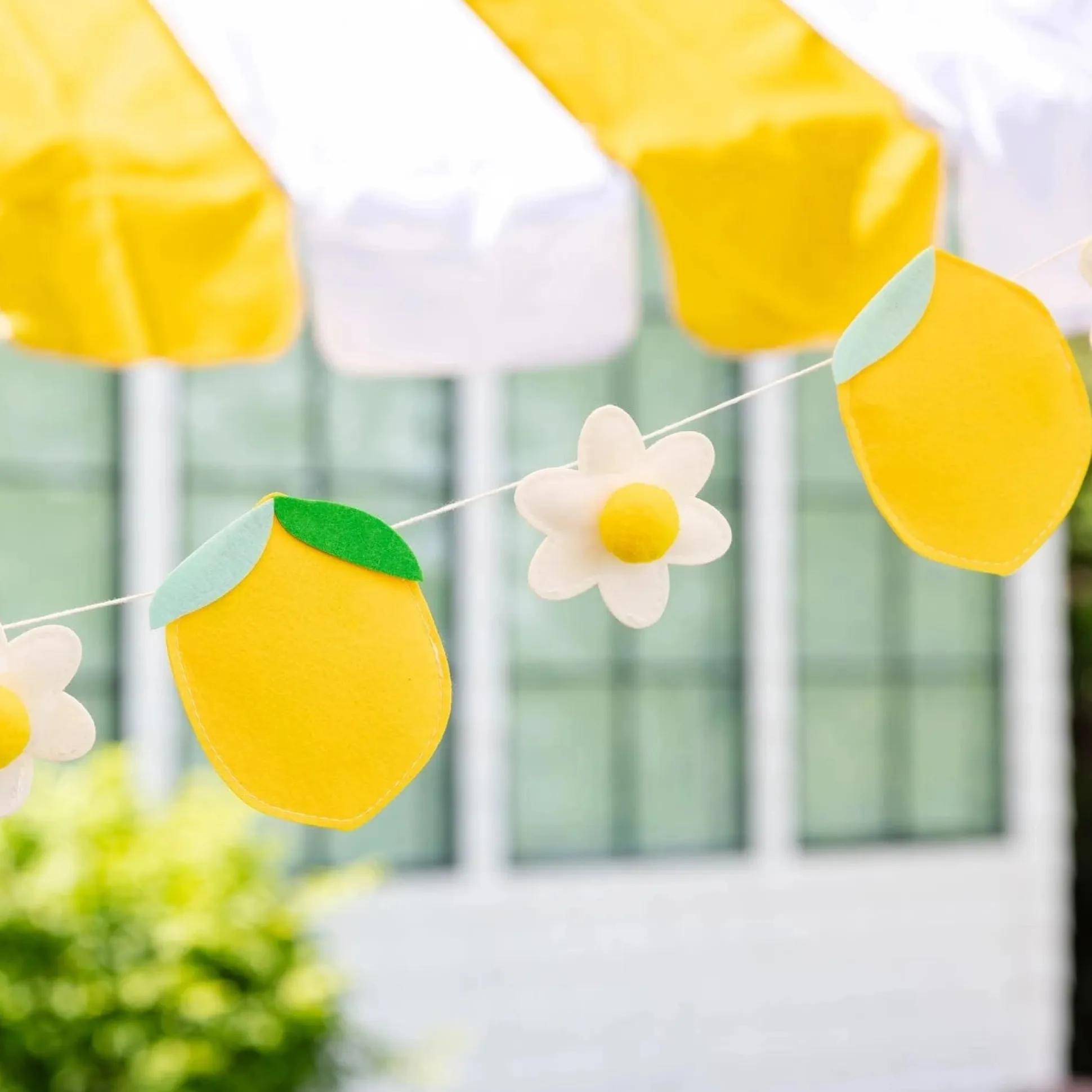 Felt Lemon Banner 6ft