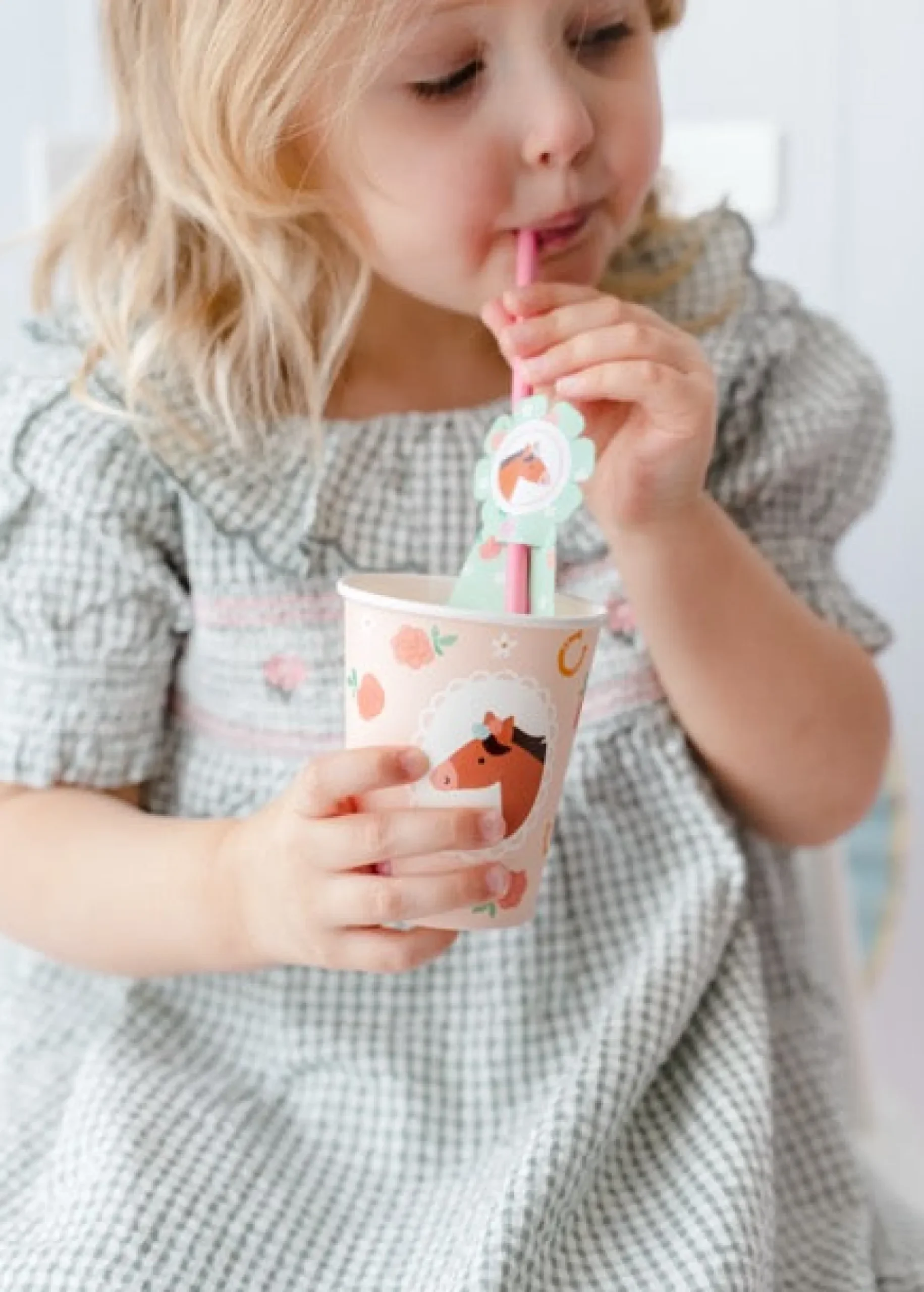 Horse Paper Straws 6ct