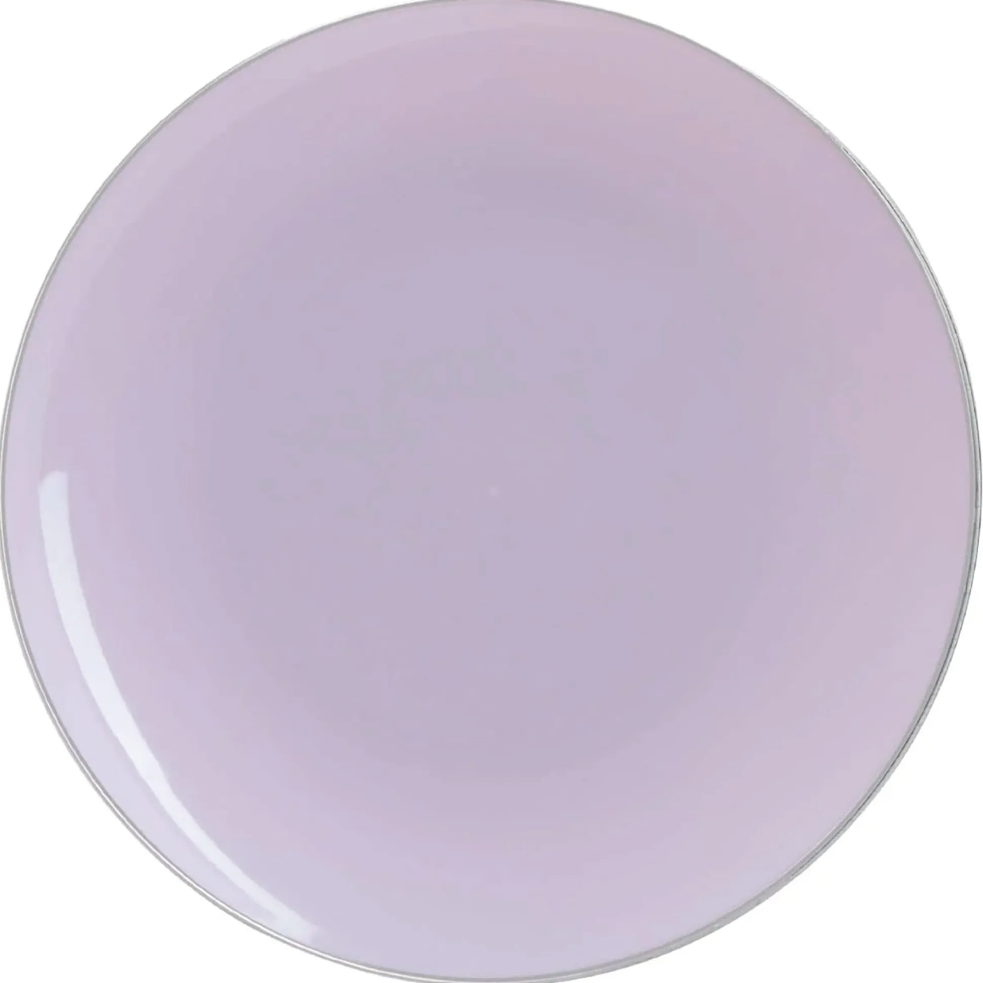 Lavender & Silver Rim Plastic Dinner Plates 10ct