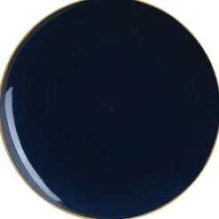 Navy & Gold Rim Plastic Dinner Plates 10ct