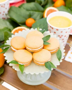 Orange Grove Party Paper Cups 8ct