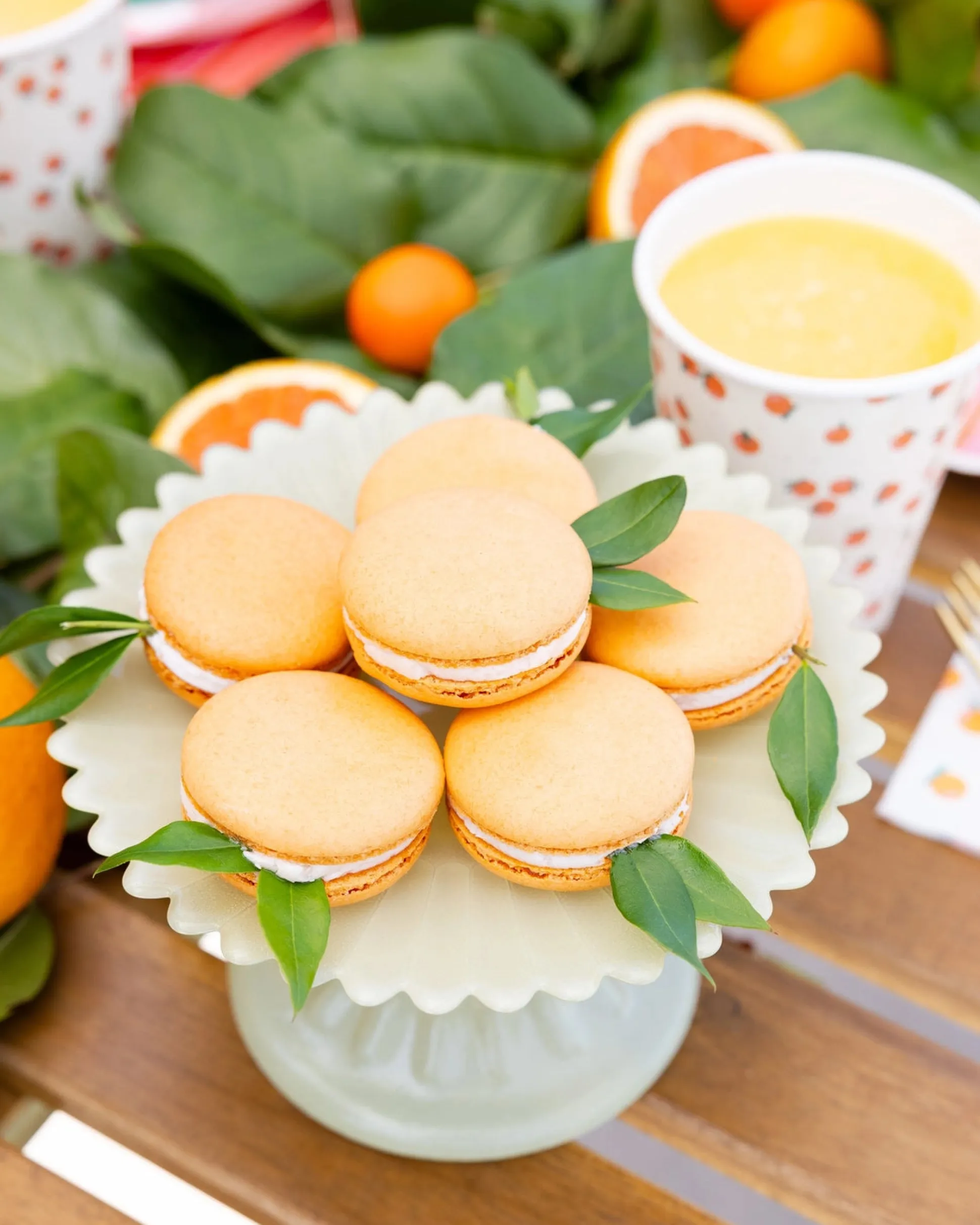 Orange Grove Party Paper Cups 8ct