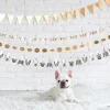 Party Animals Dog Banner 6ft