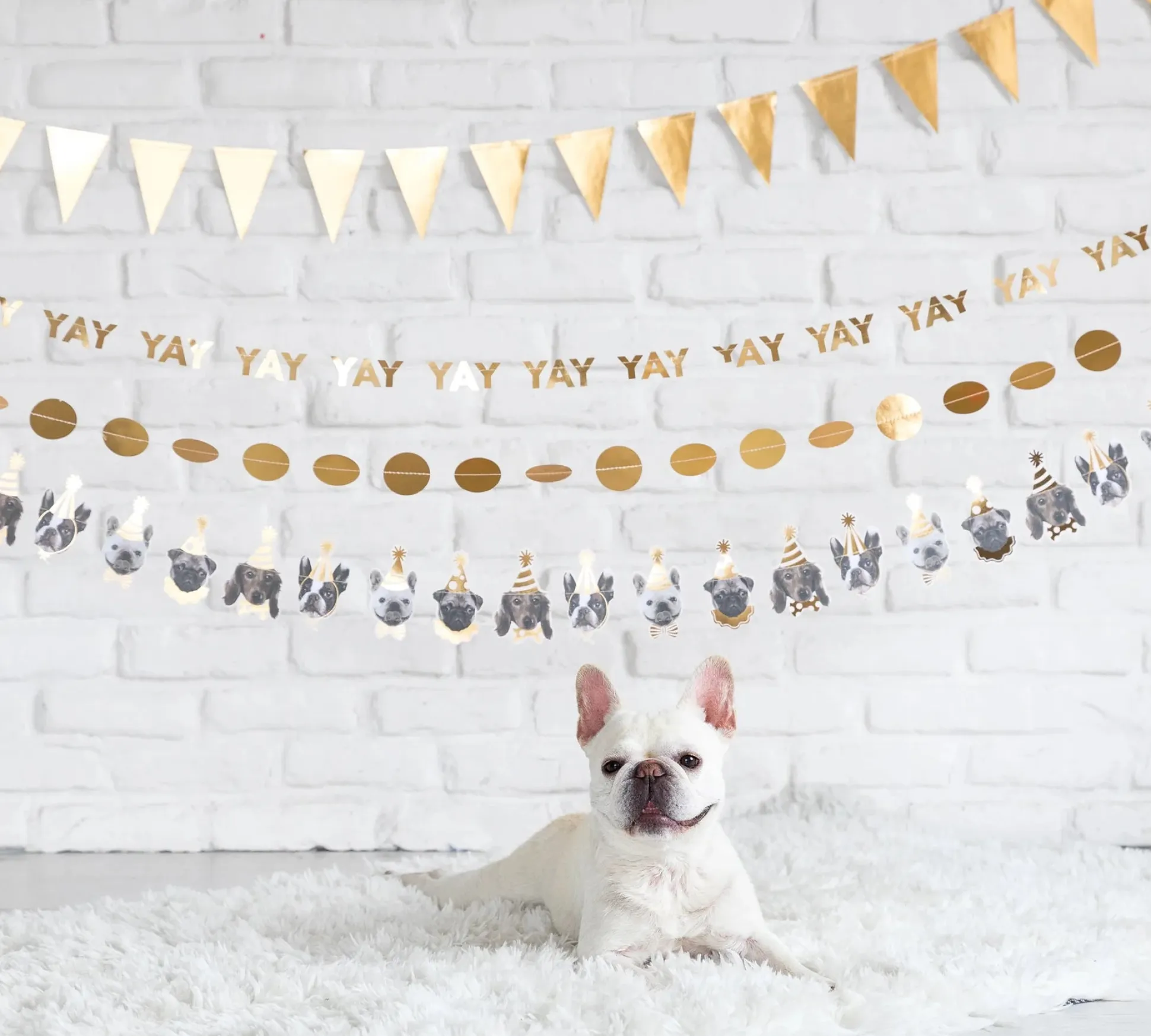 Party Animals Dog Banner 6ft