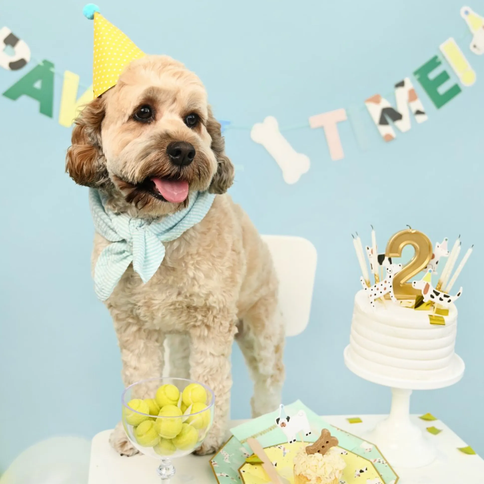 Pawty Time Dog Banner