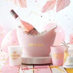 Pink Drinks! Acrylic Beverage Bucket
