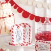 Santa Claus Tag Treat Bags 8ct