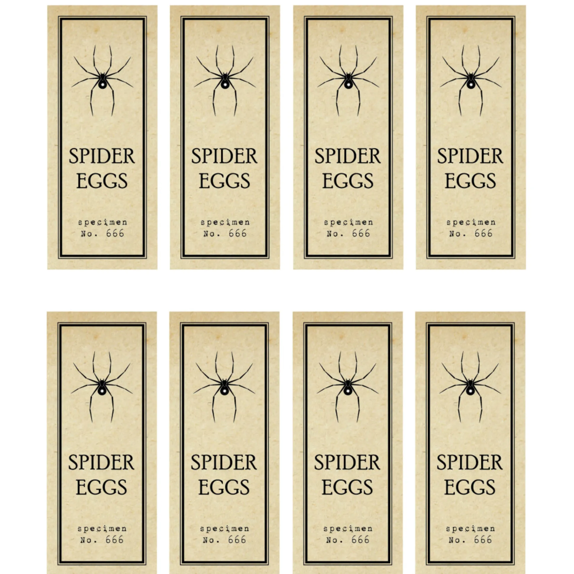 Spider Eggs Test Tube Labels