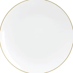 White With Gold Rim Plastic Dinner Plates 10ct